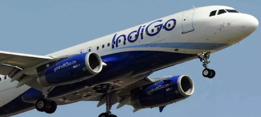indigo-flight