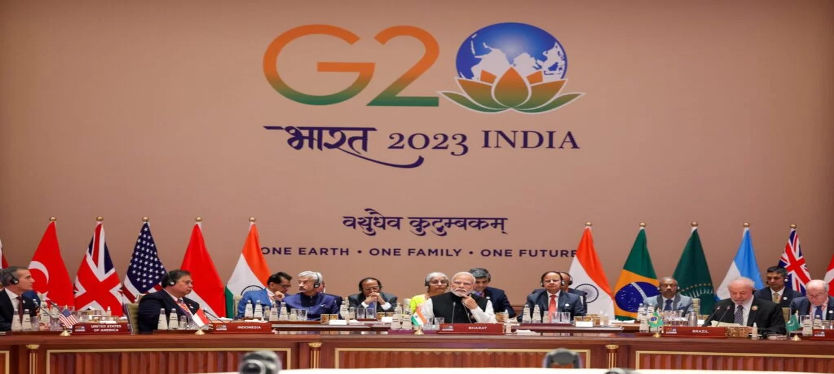 G-20 (3)