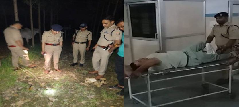 पुलिस मुठभेड़ में फरार गैंगस्टर घायल, गैंगस्टर के खिलाफ दर्ज कई मुकदमे