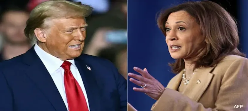 TRUMP-HARRIS