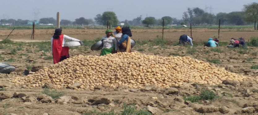 agra-news