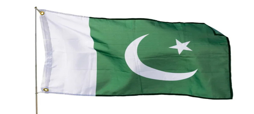 Pakistan : मामूली सड़क हादसे में हिंदू भाई-बहन को जमकर पीटा