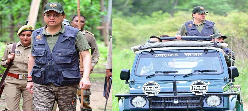 cm-dhami-jungle-safari