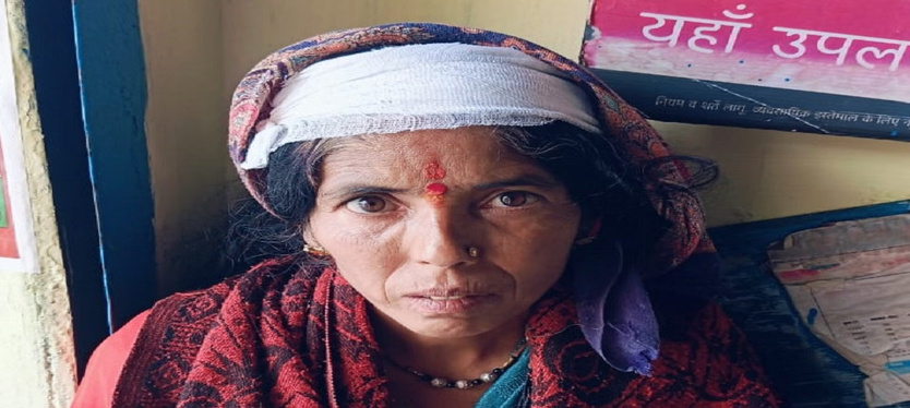 almora-news