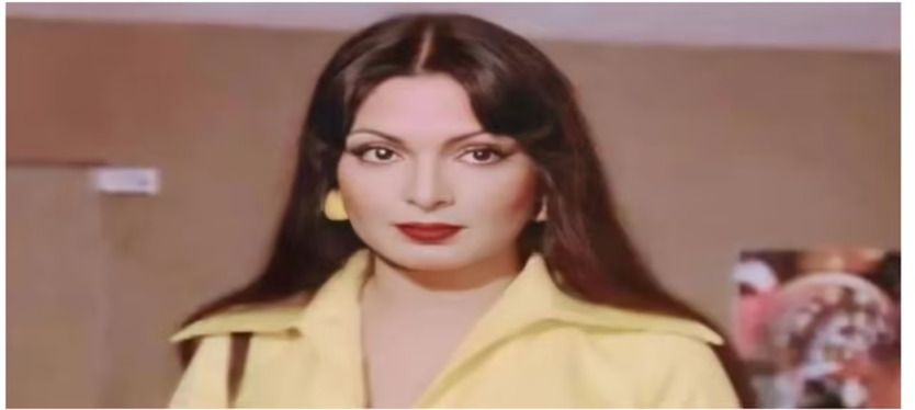 parveen-boby