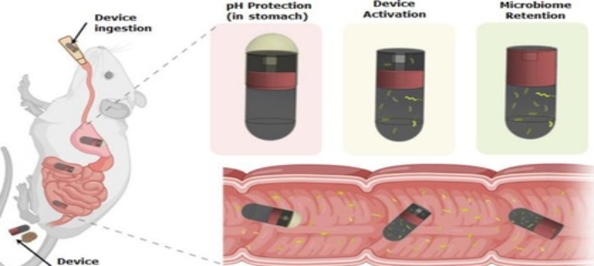 delhi-aiims-smart-pill