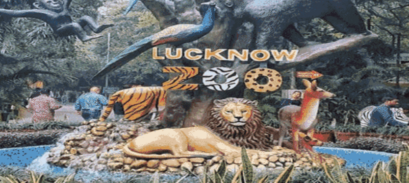 lucknow-chidiyaghar-news