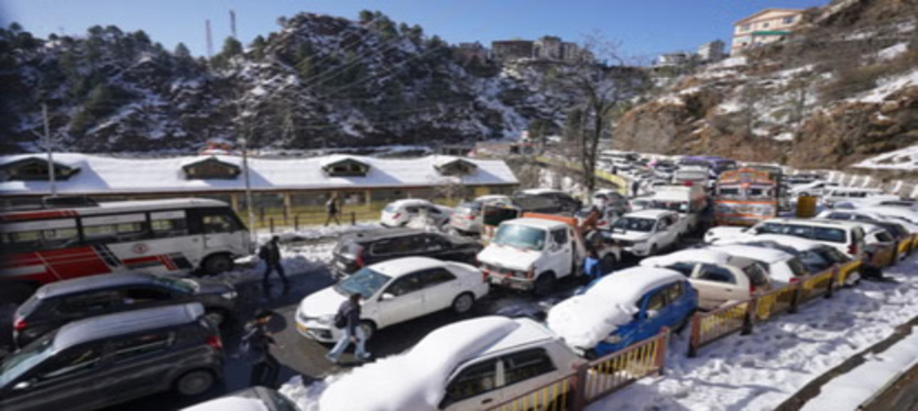 shimla-news