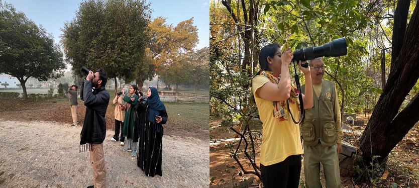 गौरैया-बुलबुल से चितकबरा उल्लू तक मौजूद, 90 से ज्यादा प्रजातियों की हुई पहचान