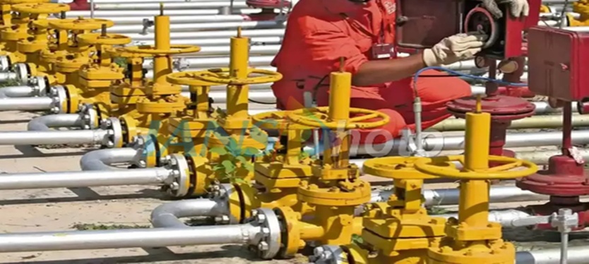 6,000-PNG-customers- gave up-LPG-connections