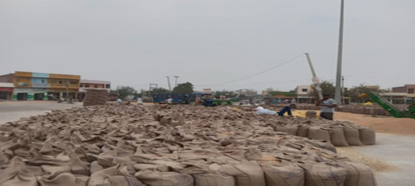 82 लाख किसानों ने नहीं कराई फार्मर रजिस्ट्री, अब MSP पर गेहूं बेचने का संकट