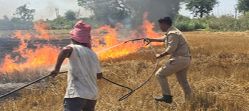 दमकल कर्मियों की सजगता से जलने से बची दो बीघा गेहूं की फसल