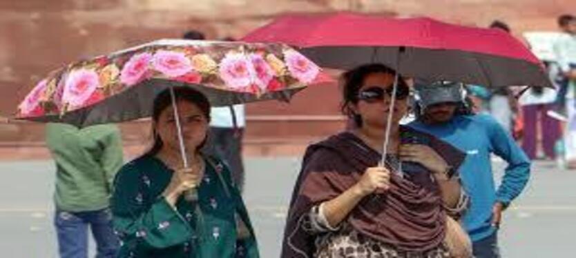 delhi-news