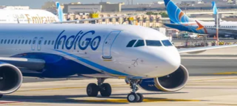 niji-airlines