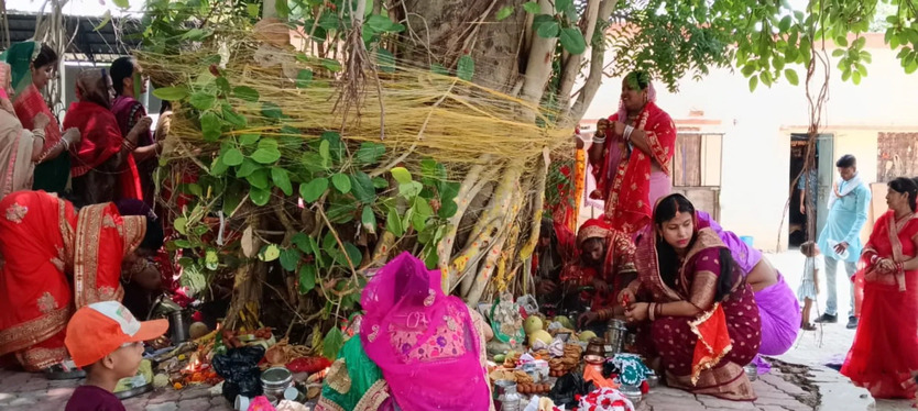 vata-savatri-parave-para-bragatha-ka-paja-karata-sahagana-mahale