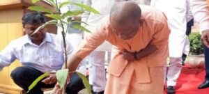 योगी खुद लगाएंगे पौधा, करेंगे 35 करोड़ पौधरोपण महायज्ञ का शुभारंभ