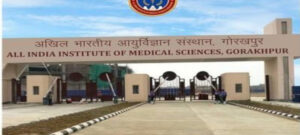 सुई से होगा हेयर ट्रांसप्लांट, AIIMS गोरखपुर ने खोजी सस्ती तकनीक