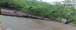 CG : 14 गांवों को मिली राहत, अबूझमाड़ में उफनते नालों पर जवानों ने बना दिए पुल