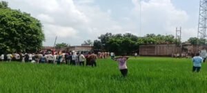 मोबाइल टावर पर चढ़कर चिल्लाया युवक, मेरी शादी करवा दो प्लीज