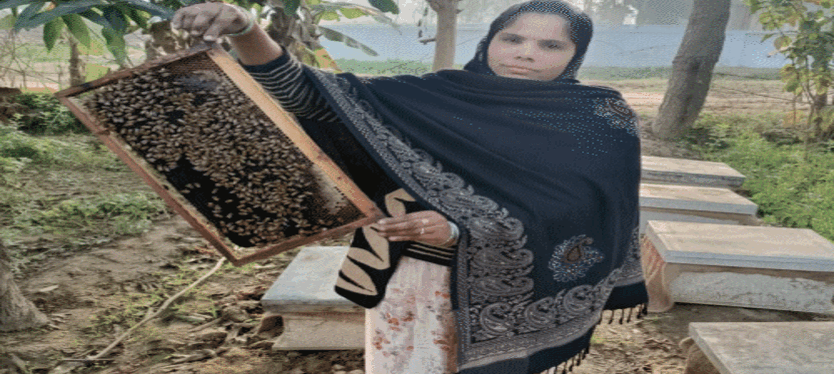 Bareilly-News