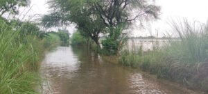 आगरा के खेरागढ़ में उफनाया बांध, पानी में डूबी सड़कें