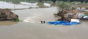 रजबहा की पटरी कटी, 50 बीघा से अधिक खेतों में भरा पानी