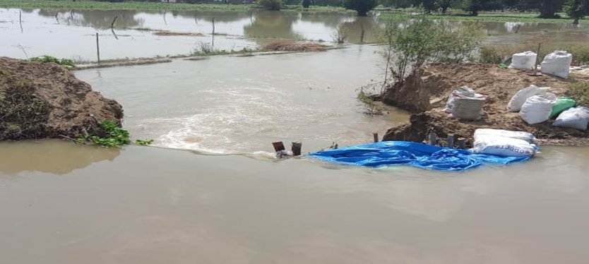 aligadh-news