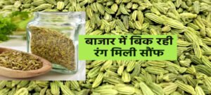 10 लाख की मिलावटी 90 क्विंटल सौंफ सीज,पुताई वाले हरे रंग से रंगने का आरोप