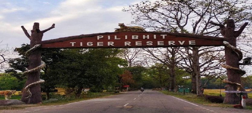 pilibhit-tiger-reserve